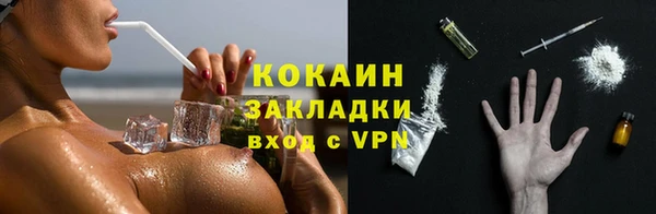 индика Алексин