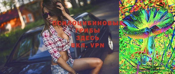 индика Алексин