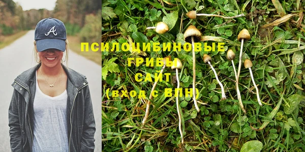 индика Алексин