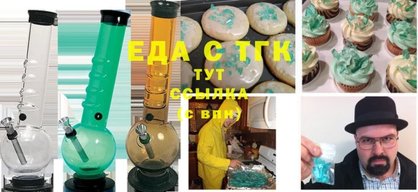 индика Алексин