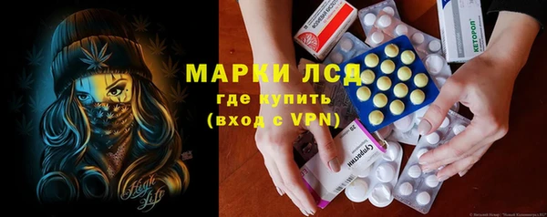 индика Алексин