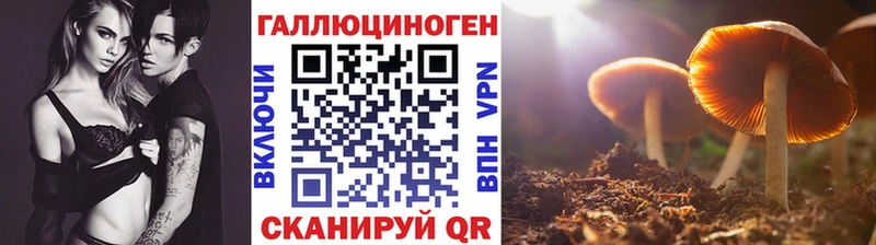 Галлюциногенные грибы прущие грибы  сайты даркнета как зайти  Белоярский  кракен онион 